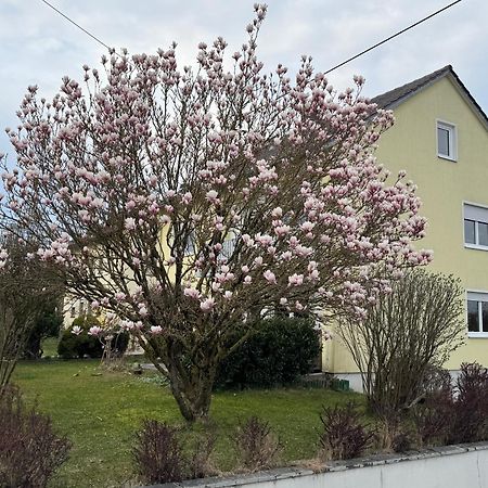 Biberbach  W&P Living Wohnung Mit Ausblick - Parkplatz מראה חיצוני תמונה